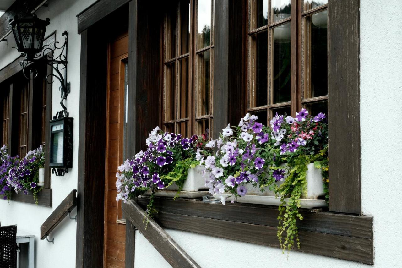Hotel Tourist Meiringen Eksteriør billede